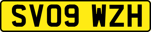 SV09WZH