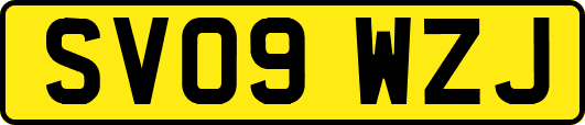 SV09WZJ