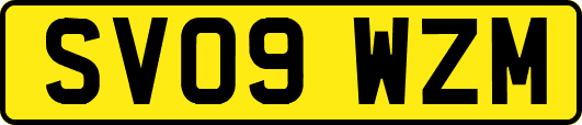 SV09WZM