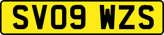 SV09WZS