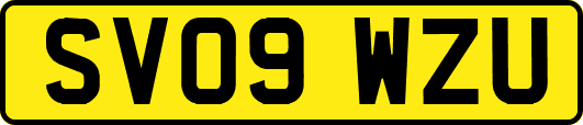 SV09WZU