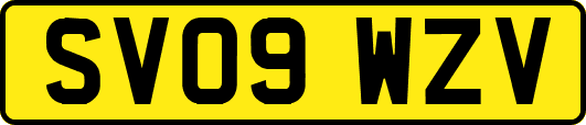 SV09WZV