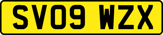 SV09WZX