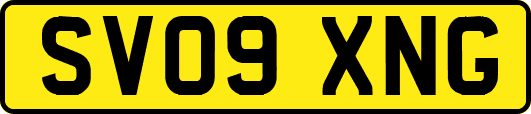 SV09XNG