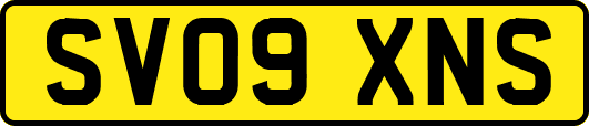 SV09XNS