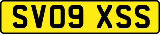SV09XSS