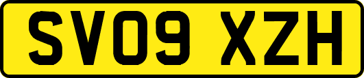 SV09XZH