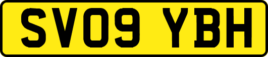 SV09YBH