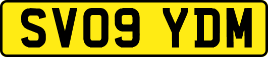 SV09YDM