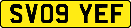 SV09YEF