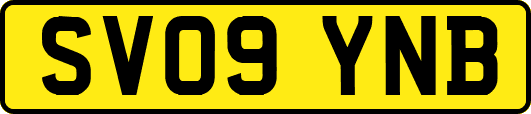 SV09YNB