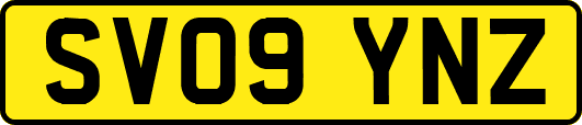 SV09YNZ