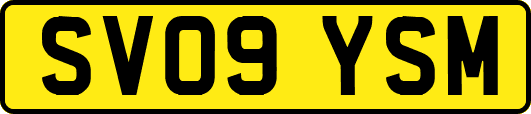 SV09YSM
