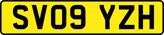 SV09YZH