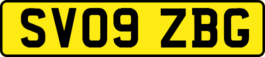 SV09ZBG