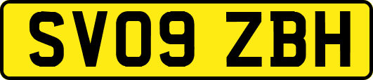 SV09ZBH