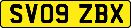 SV09ZBX
