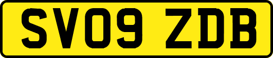 SV09ZDB