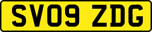 SV09ZDG