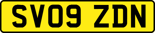 SV09ZDN