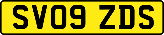 SV09ZDS