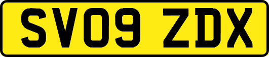 SV09ZDX