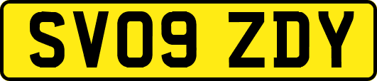 SV09ZDY