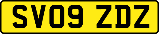 SV09ZDZ