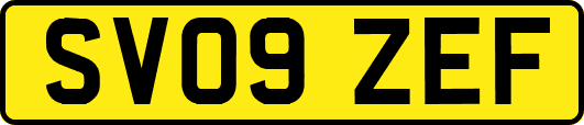 SV09ZEF
