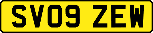 SV09ZEW