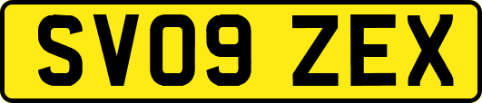 SV09ZEX