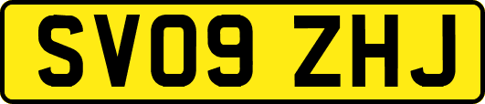 SV09ZHJ