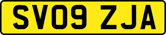SV09ZJA
