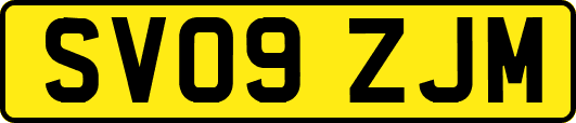 SV09ZJM
