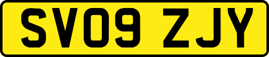 SV09ZJY