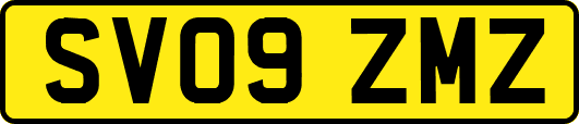 SV09ZMZ