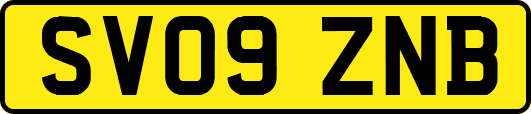 SV09ZNB