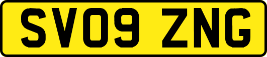 SV09ZNG