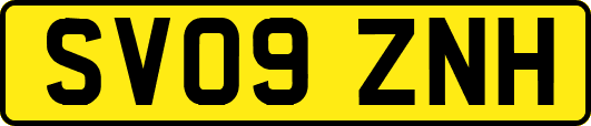 SV09ZNH