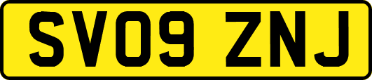 SV09ZNJ