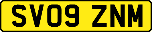 SV09ZNM