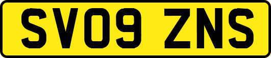 SV09ZNS
