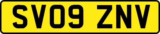SV09ZNV