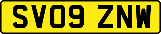 SV09ZNW
