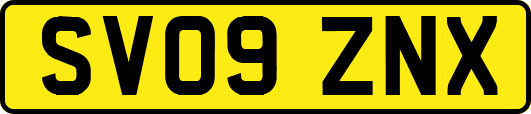SV09ZNX
