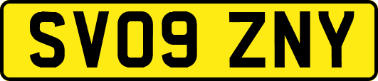 SV09ZNY