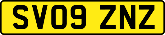 SV09ZNZ