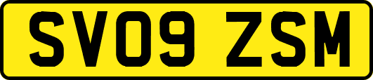 SV09ZSM
