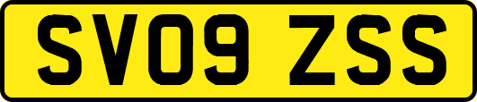 SV09ZSS