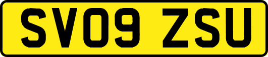 SV09ZSU